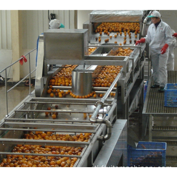 Pang -industriya na Citrus Peeler Machine Citrus Processing Line